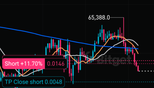 BTC 숏  +11% 535ABC
